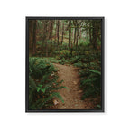 Happy Trails IV Framed Canvas Print Gallery Image 6
