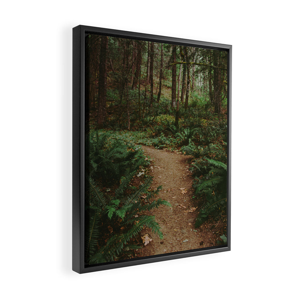 Happy Trails IV Framed Canvas Print Gallery Image 2