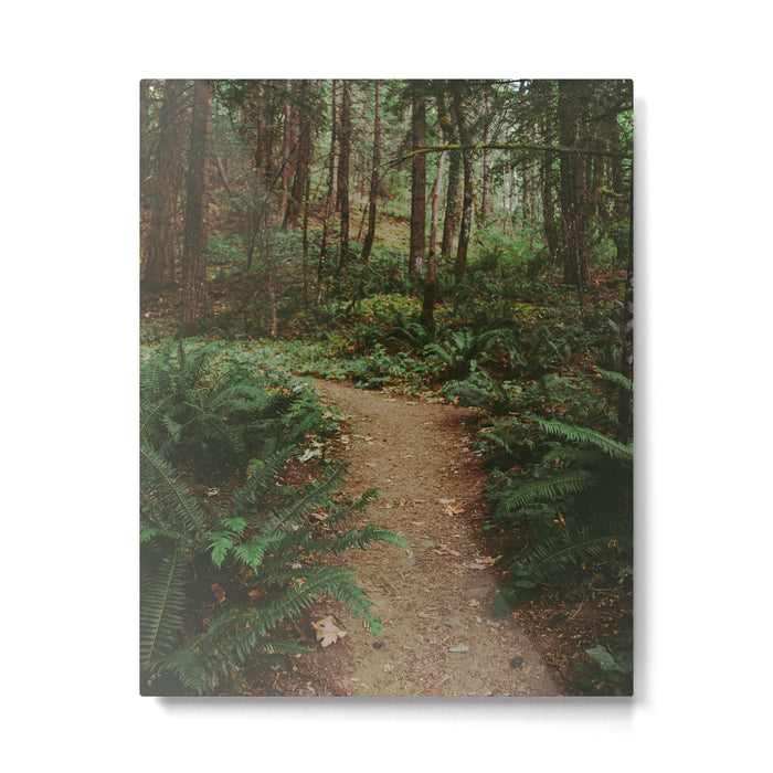 Happy Trails IV Metal Print Gallery Image 1