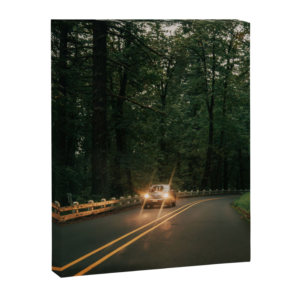 Headlights in the Forest Canvas Print Gallery Image 6