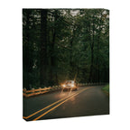Headlights in the Forest Canvas Print Gallery Image 6