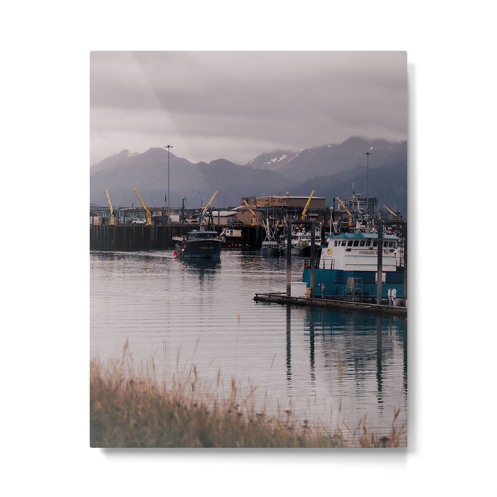 Homer Habor Metal Print Gallery Image 4