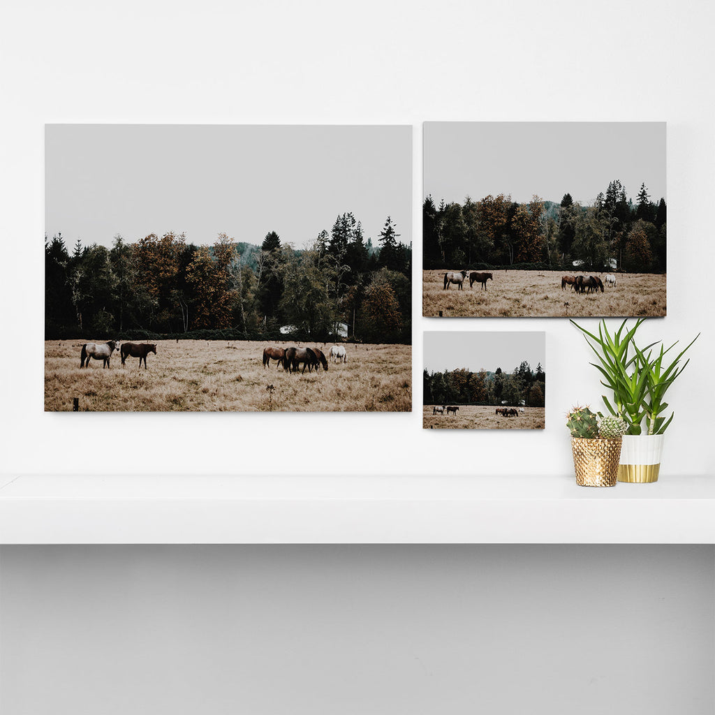 Horses Canvas Print Gallery Image 3