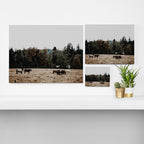 Horses Canvas Print Gallery Image 3