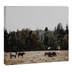 Horses Canvas Print Gallery Image 12