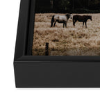Horses Framed Canvas Print Gallery Image 3