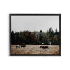 Horses Framed Canvas Print Gallery Image 12