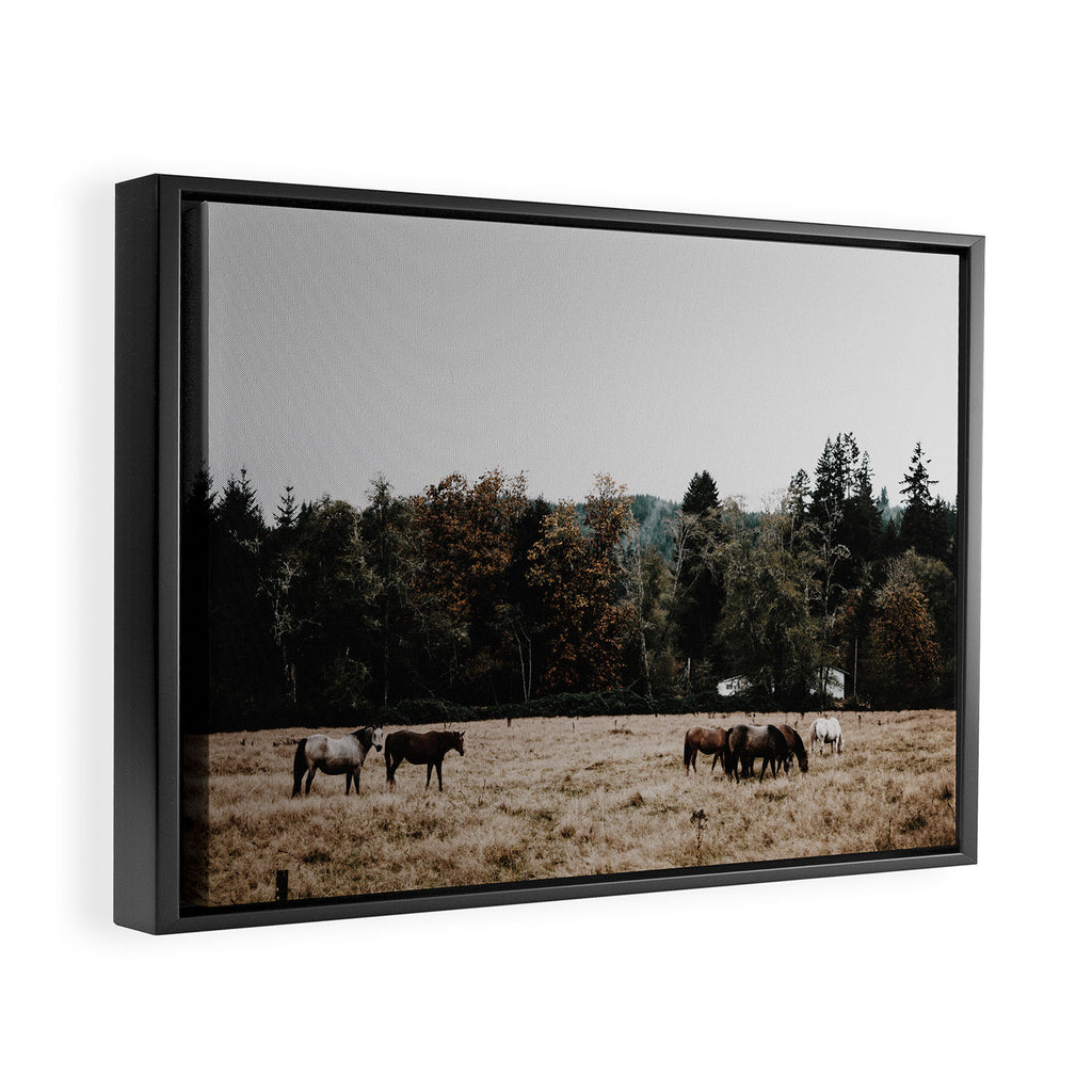 Horses Framed Canvas Print Gallery Image 2