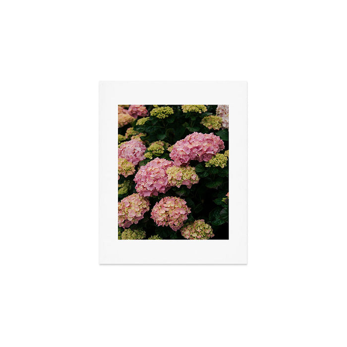 Hydrangeas Art Print Gallery Image 1