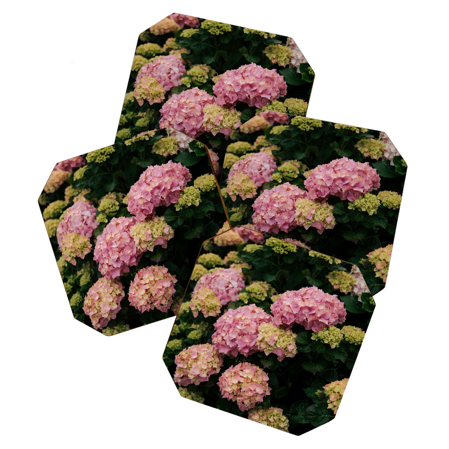 Hydrangeas Coaster Gallery Image 1