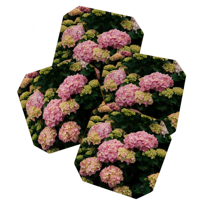 Hydrangeas Coaster Gallery Image 1