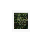 Juniper Art Print Gallery Image 1