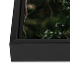 Juniper Framed Canvas Print Gallery Image 3