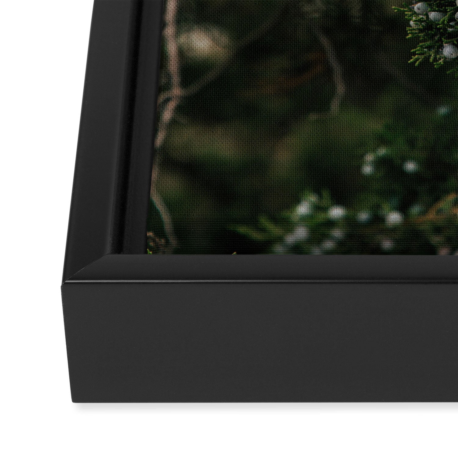Juniper Framed Canvas Print Gallery Image 3