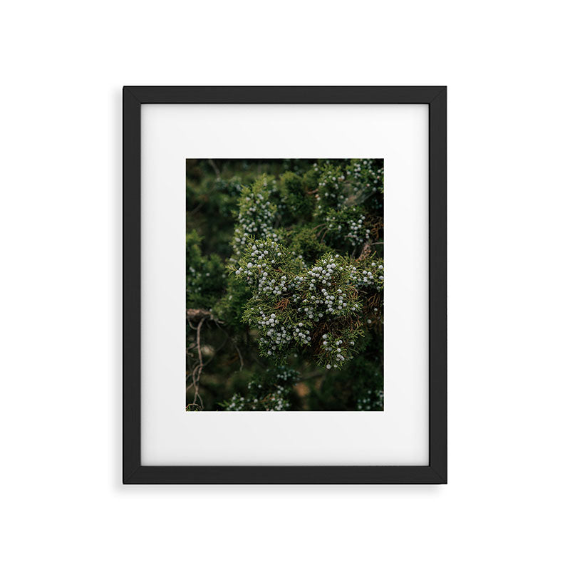 Juniper Framed Art Print Gallery Image 5