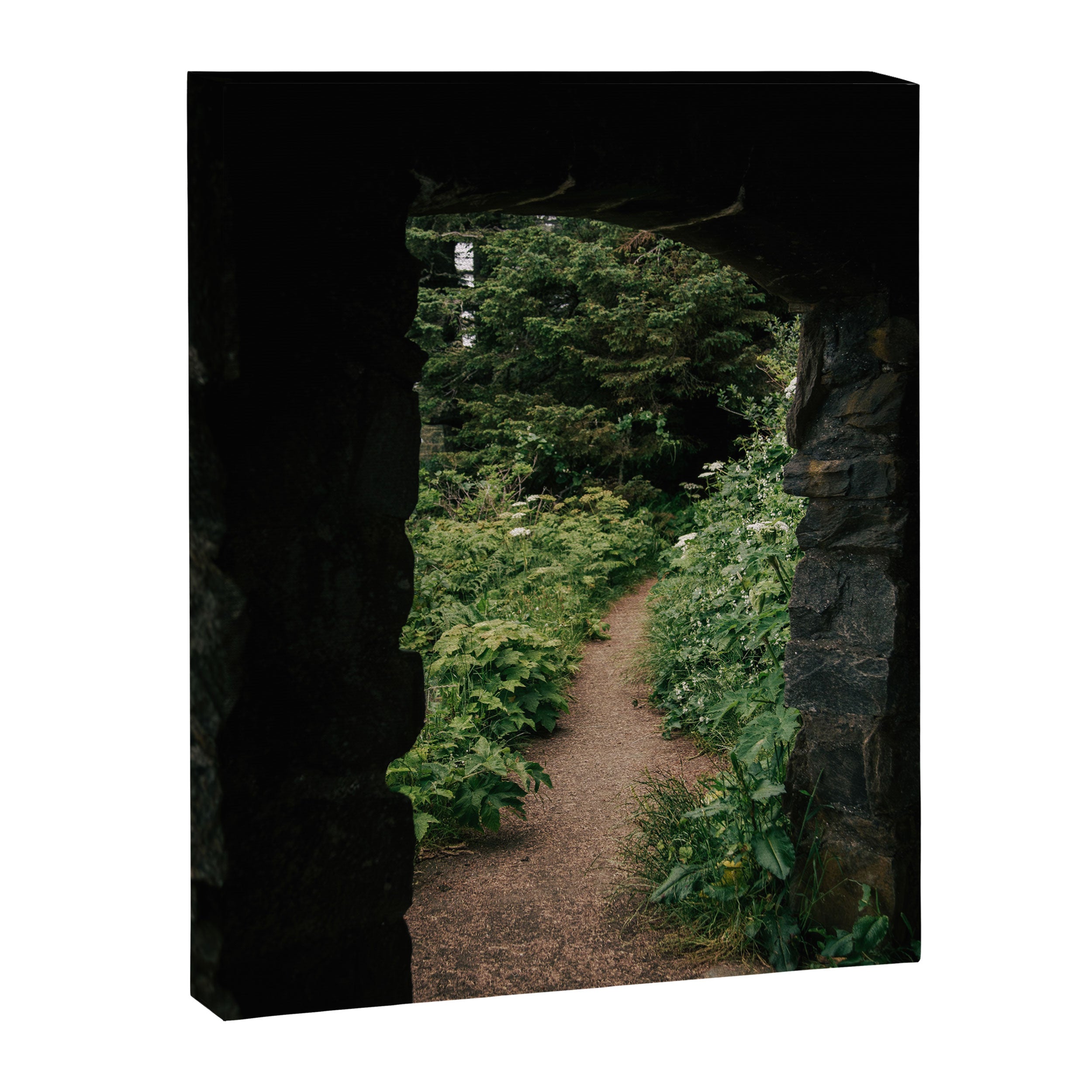 Just through there Canvas Print Gallery Image 6