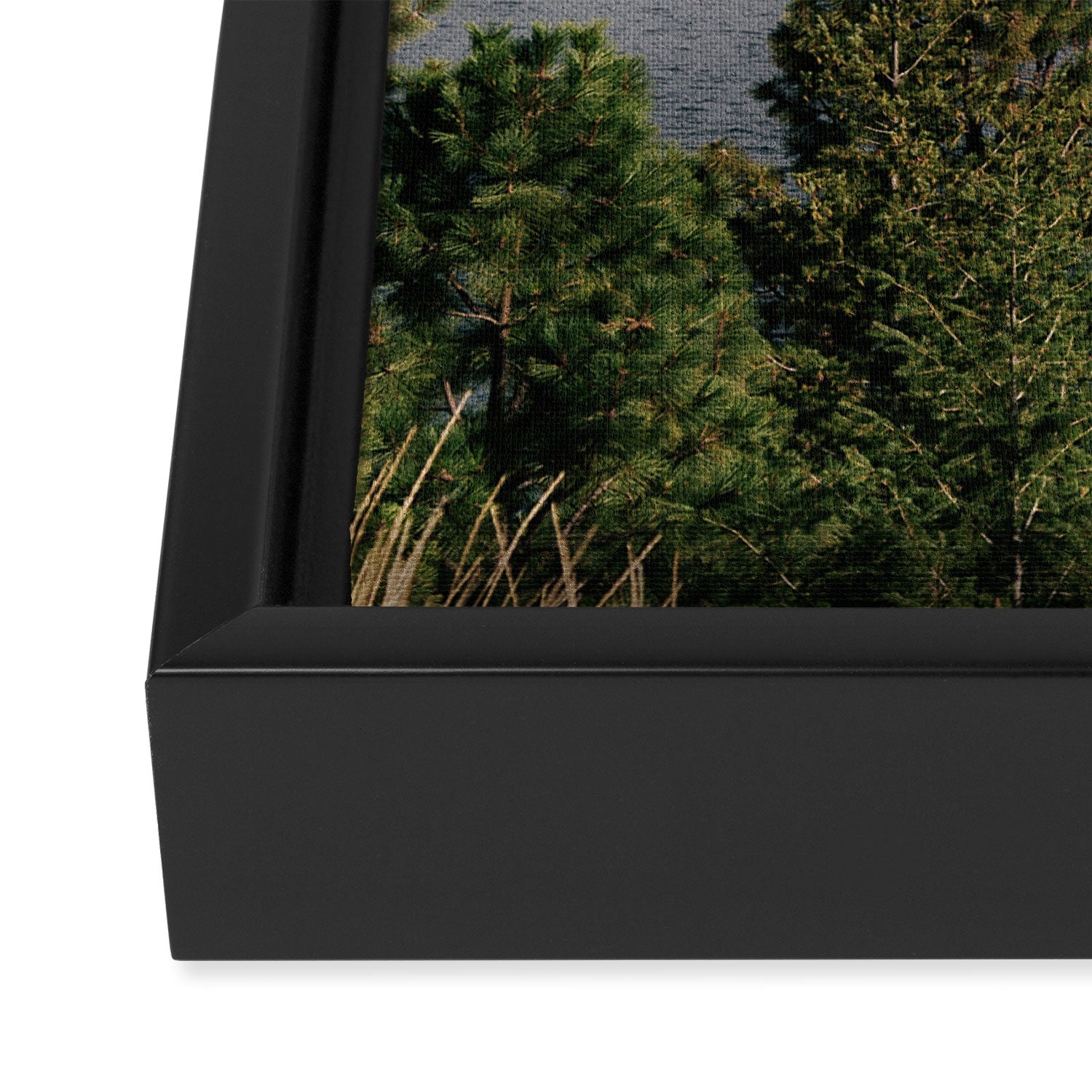 Lake Chelan Framed Canvas Print Gallery Image 3