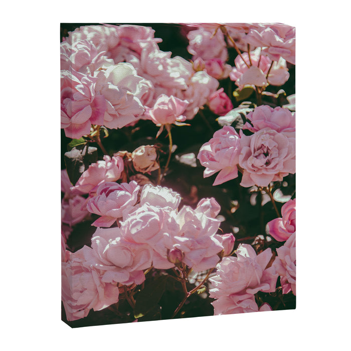 Light Pink Roses Canvas Print Gallery Image 1