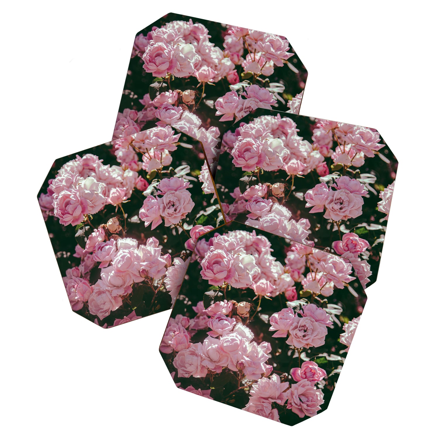 Light Pink Roses Coaster Gallery Image 1