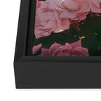 Light Pink Roses Framed Canvas Print Gallery Image 3