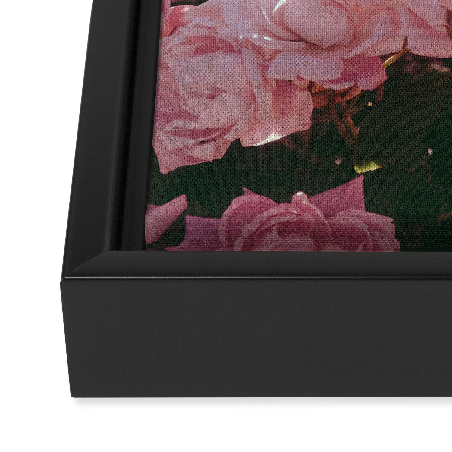 Light Pink Roses Framed Canvas Print Gallery Image 3