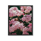 Light Pink Roses Framed Canvas Print Gallery Image 6