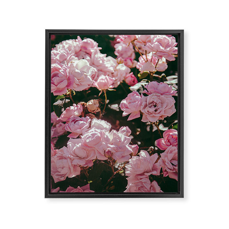 Light Pink Roses Framed Canvas Print Gallery Image 6