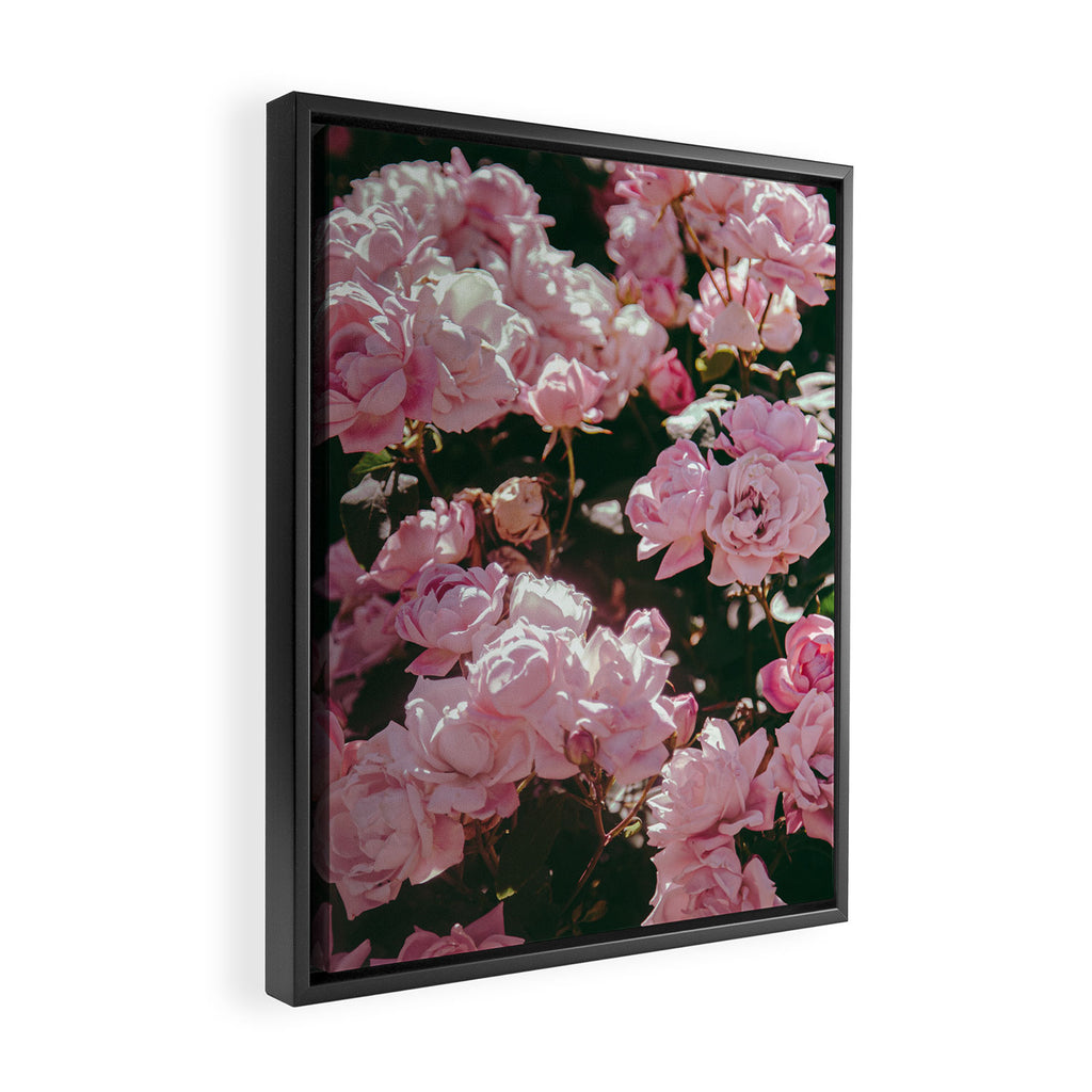 Light Pink Roses Framed Canvas Print Gallery Image 2