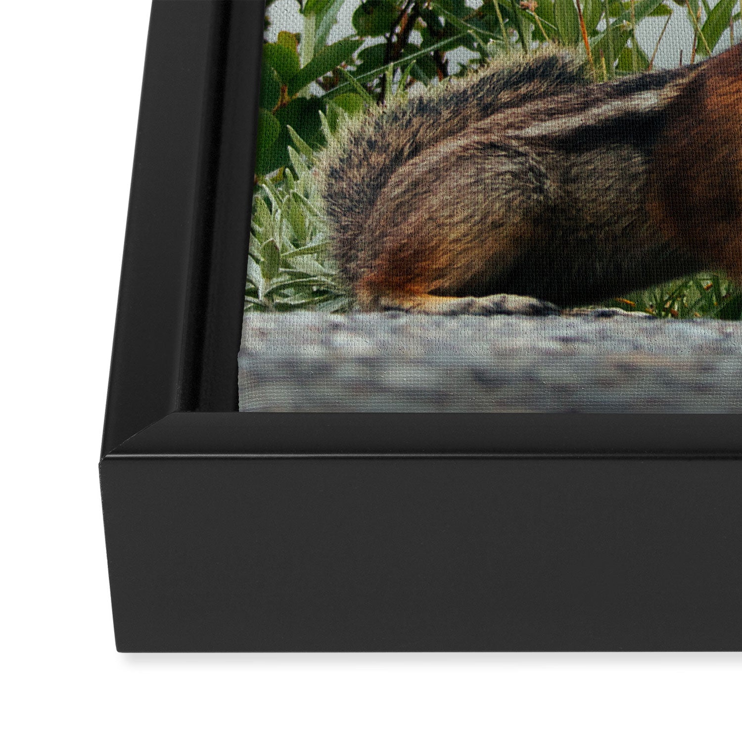Little Chipmunk Framed Canvas Print Gallery Image 3