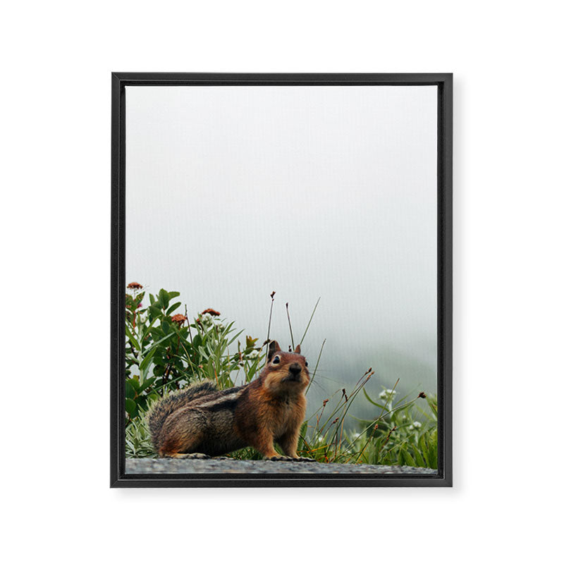 Little Chipmunk Framed Canvas Print Gallery Image 6