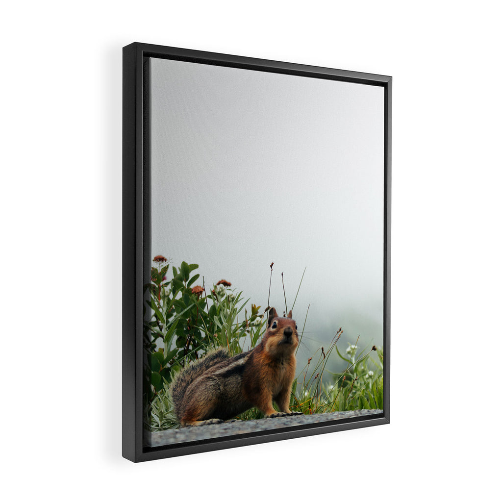 Little Chipmunk Framed Canvas Print Gallery Image 2