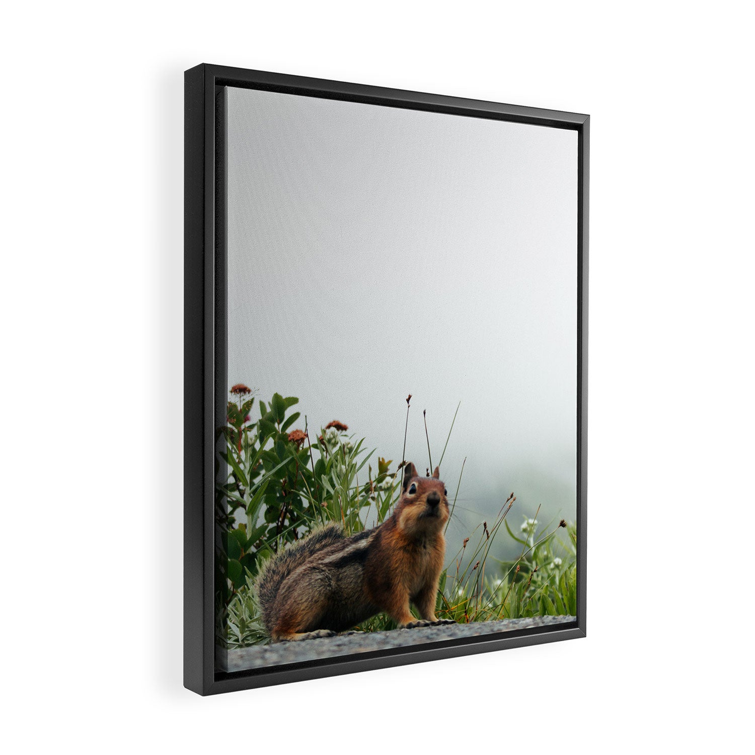 Little Chipmunk Framed Canvas Print Gallery Image 2