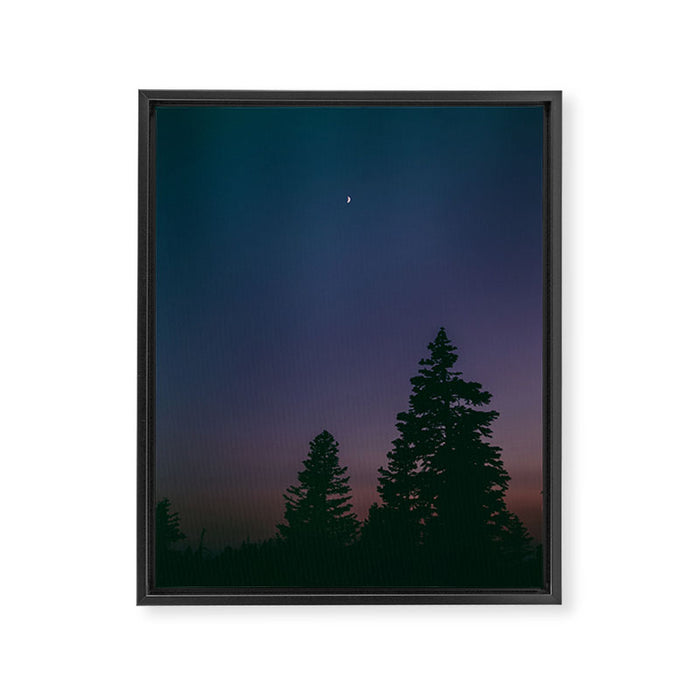 Little Moon Framed Canvas Print Gallery Image 1