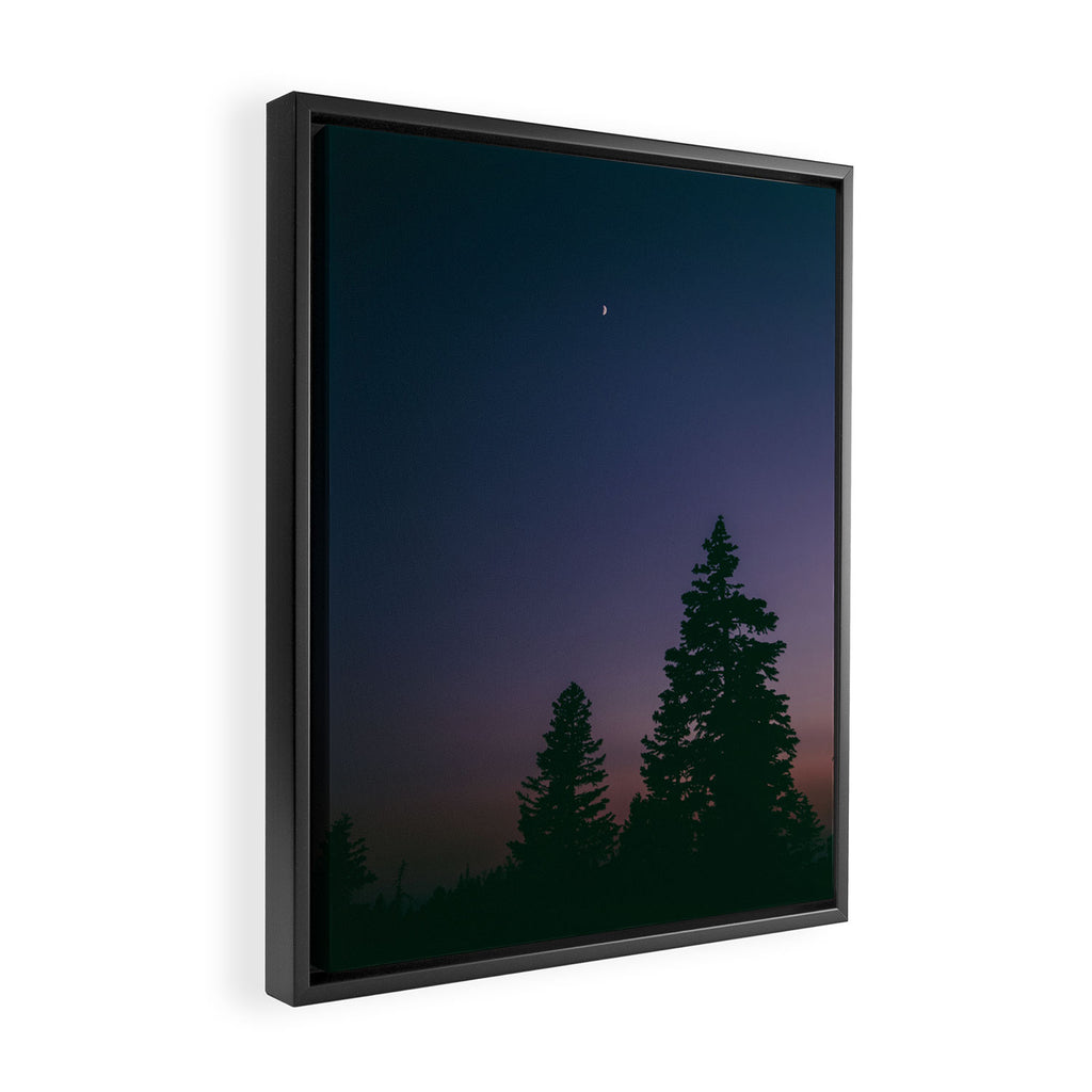 Little Moon Framed Canvas Print Gallery Image 2