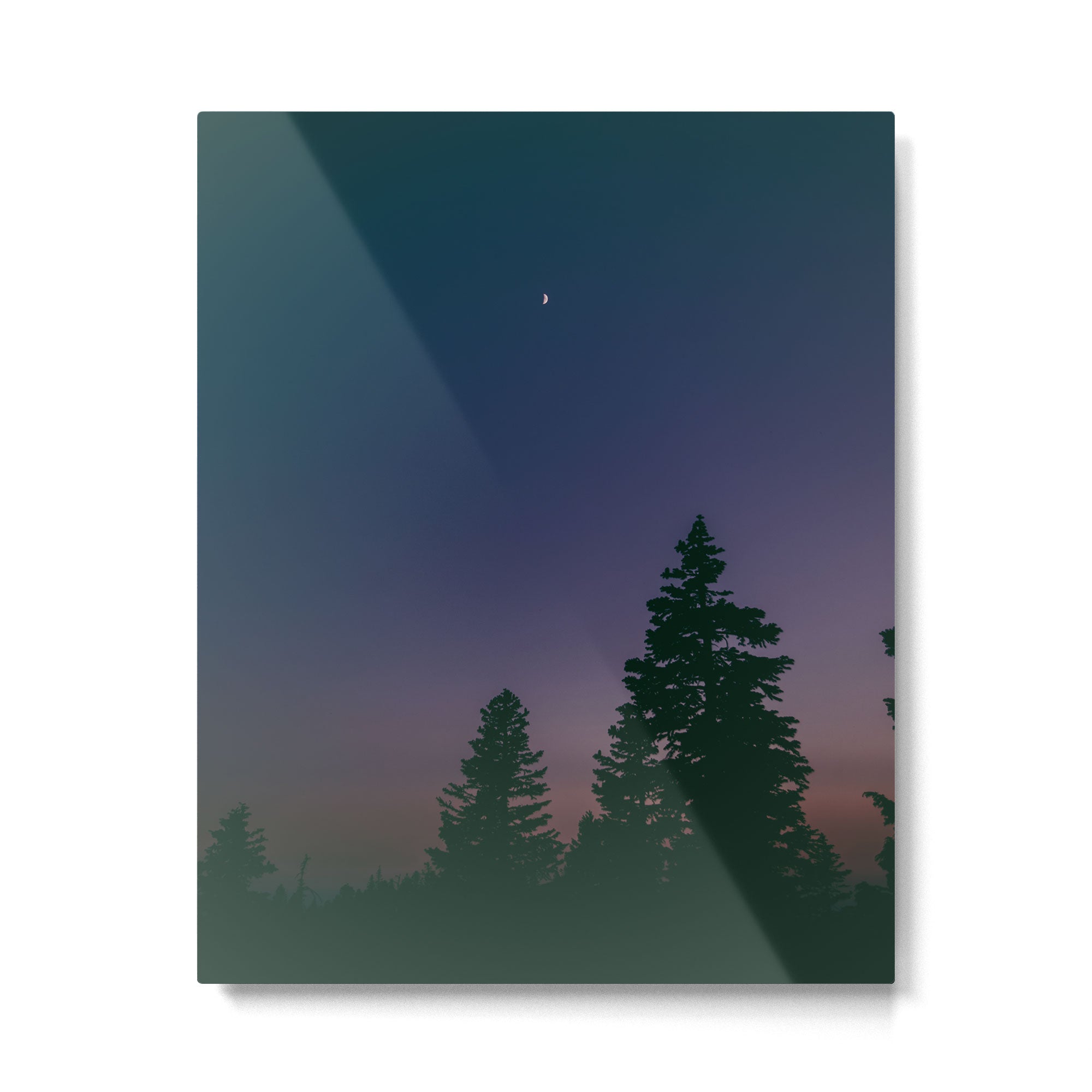 Little Moon Metal Print Gallery Image 4