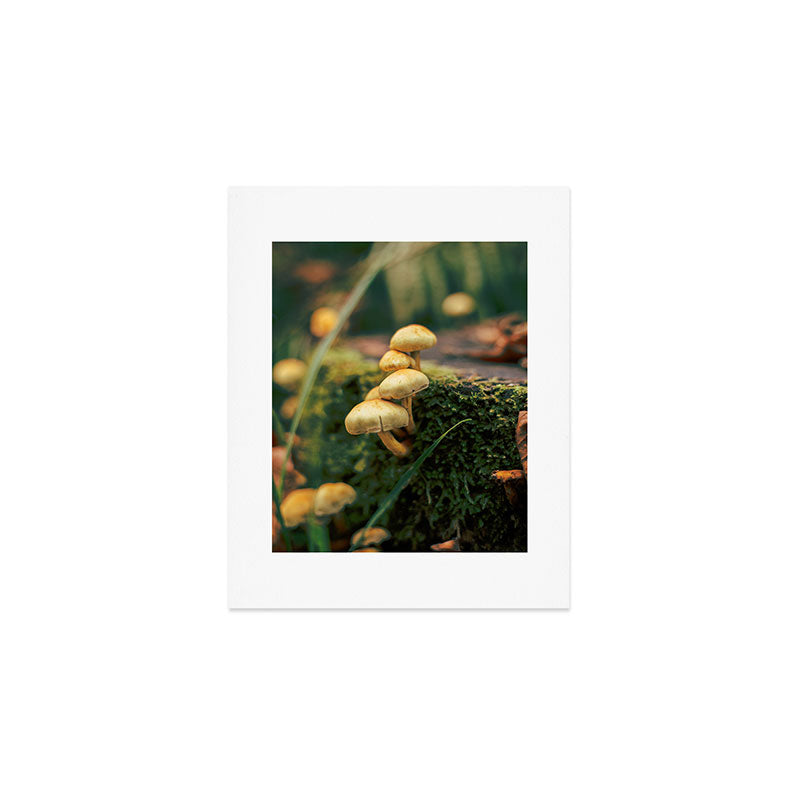 Little Mushrooms Art Print Gallery Image 1