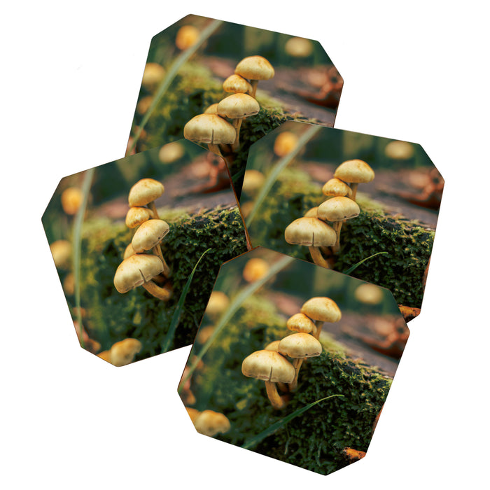 Little Mushrooms Coaster Gallery Image 1