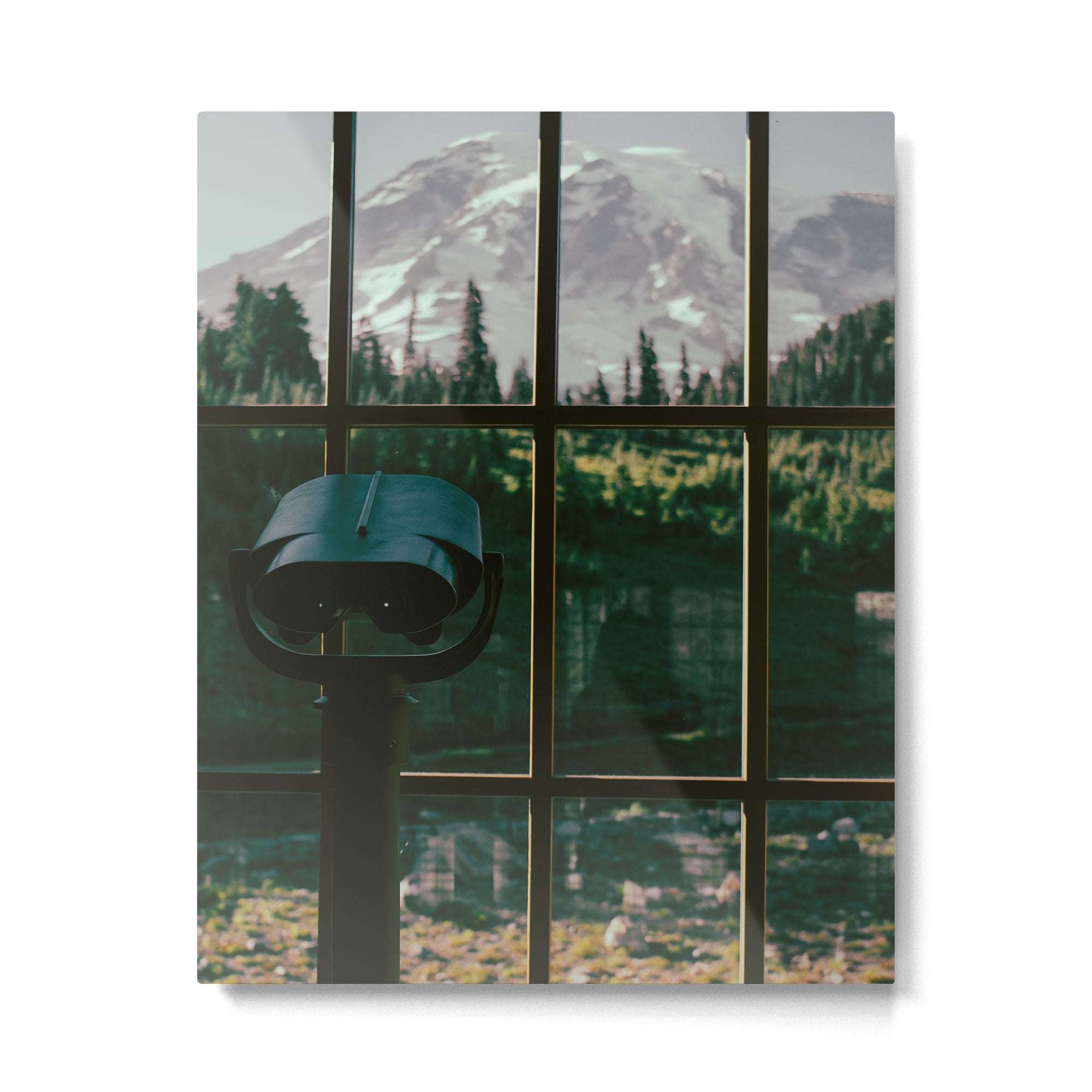 Looking At Rainier Metal Print Gallery Image 4