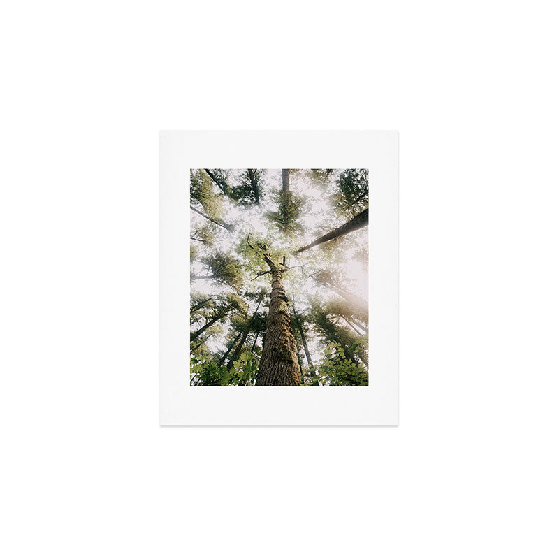 Looking Up Art Print Gallery Image 1