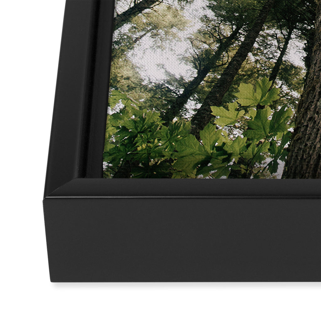 Looking Up Framed Canvas Print Gallery Image 3