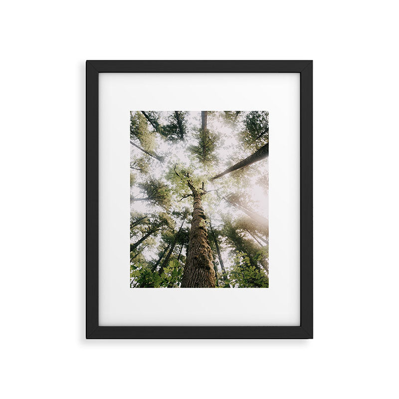 Looking Up Framed Art Print Gallery Image 5