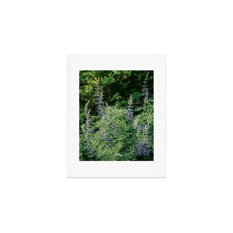 Lupine Art Print Gallery Image 1