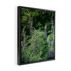 Lupine Framed Canvas Print Gallery Image 2