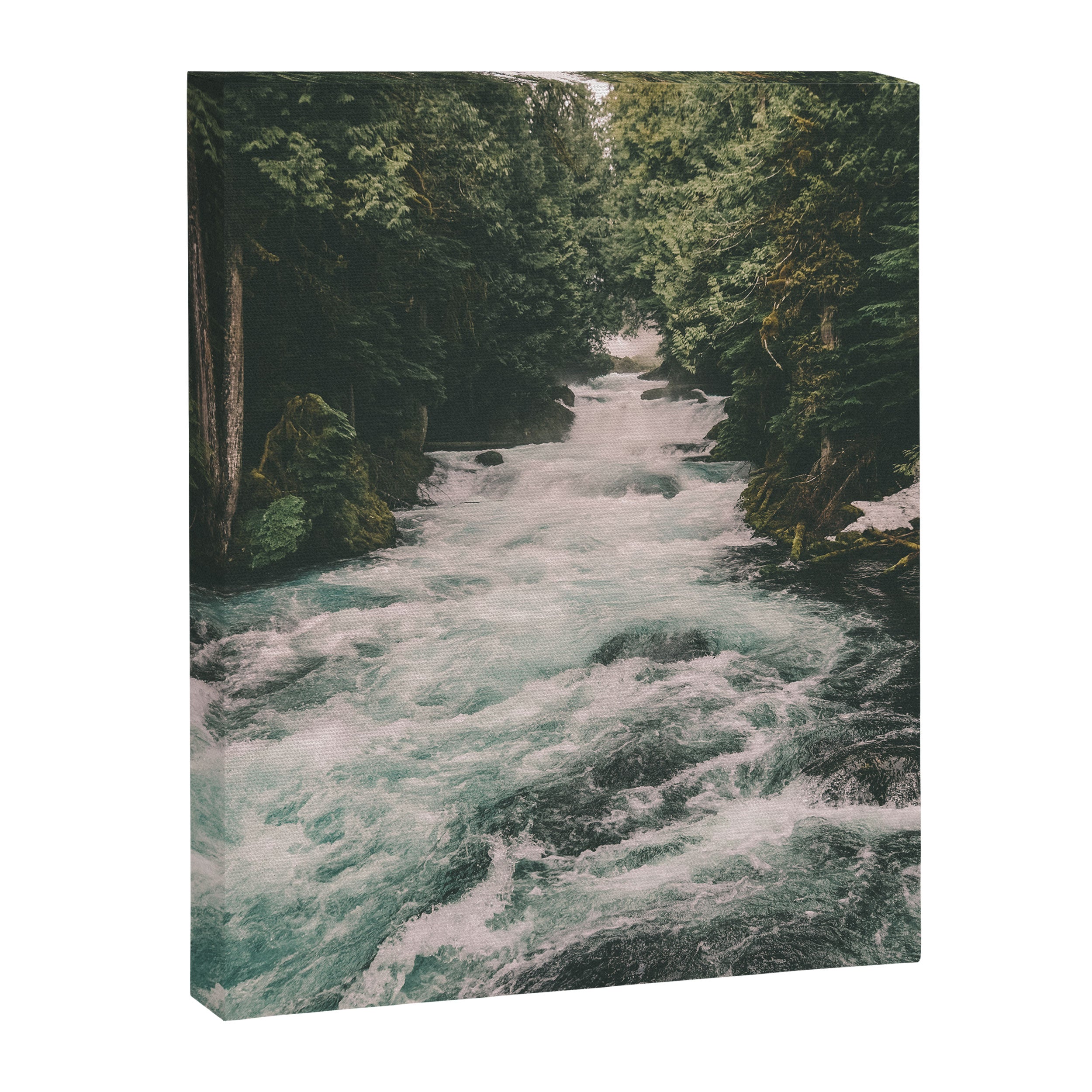 Mckenzie River Canvas Print Gallery Image 3