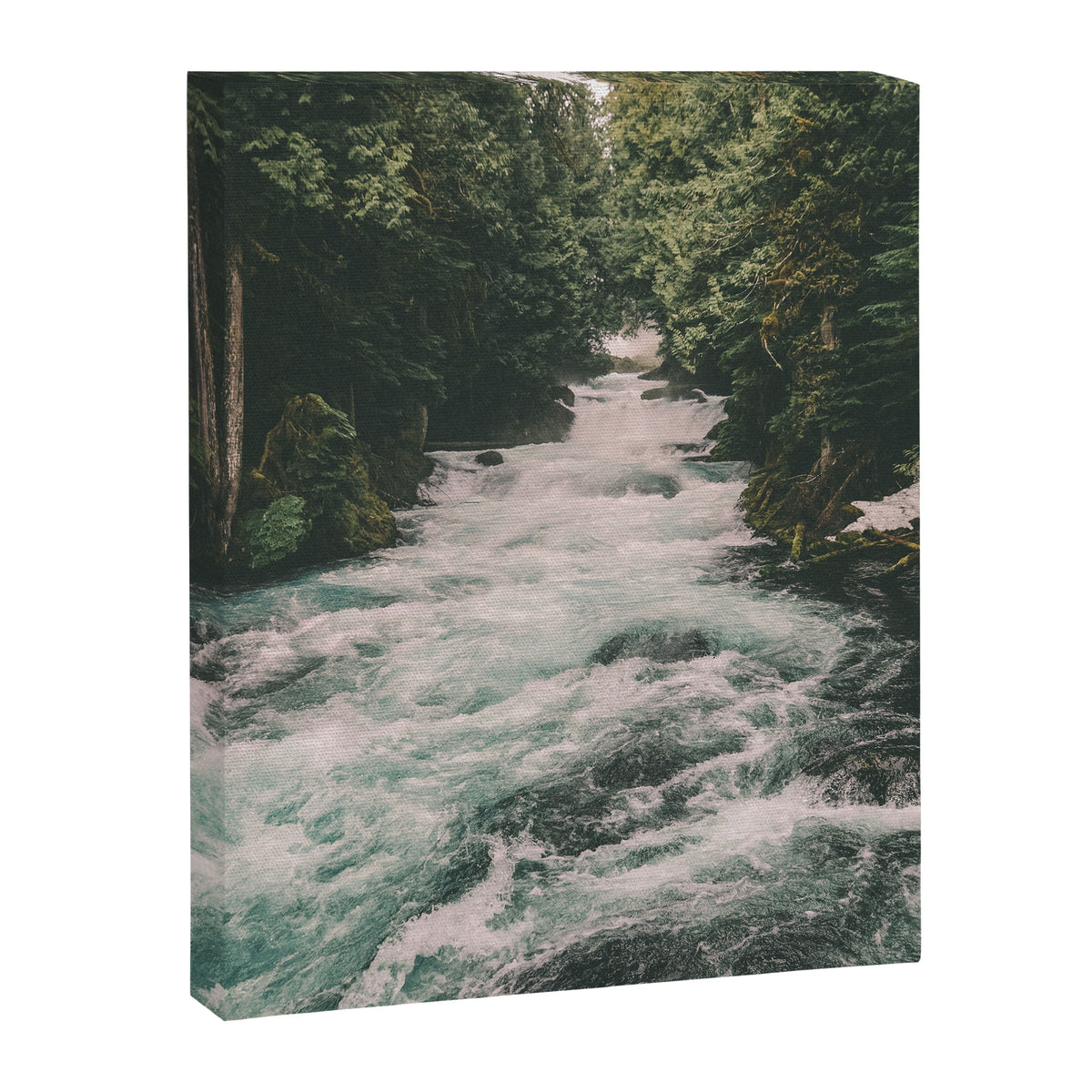 Mckenzie River Canvas Print Gallery Image 6