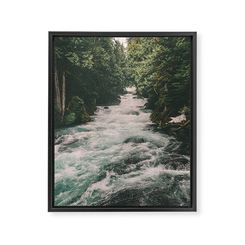 Mckenzie River Framed Canvas Print Gallery Image 3