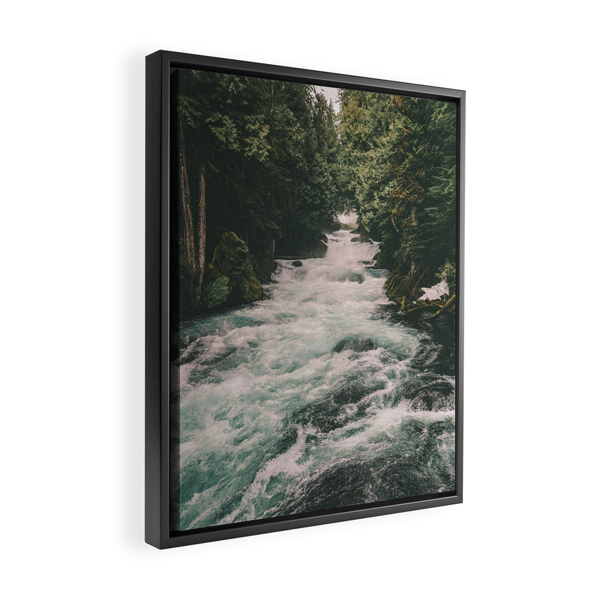 Mckenzie River Framed Canvas Print Gallery Image 2