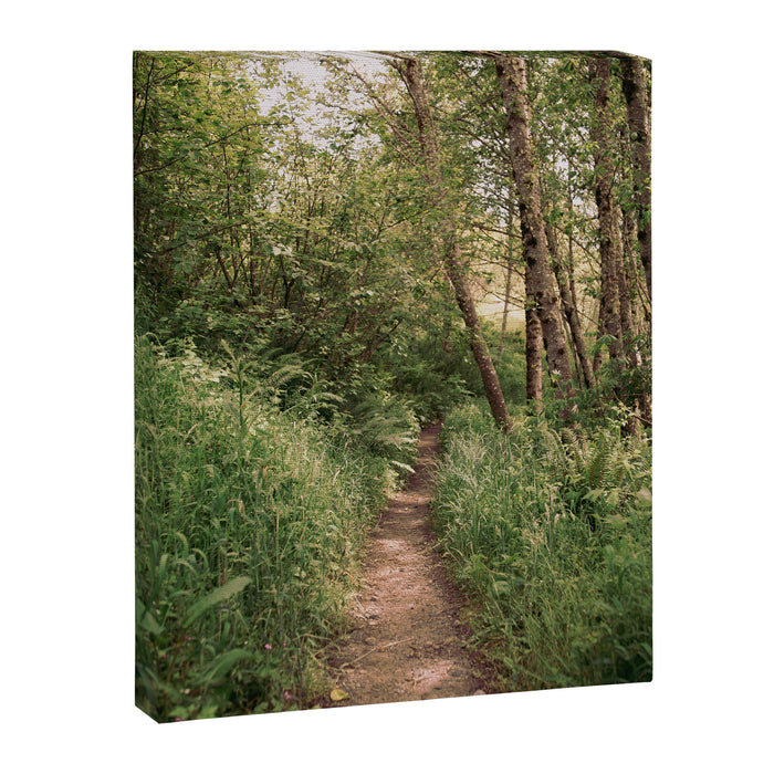 Mellow Path Canvas Print Gallery Image 1