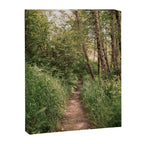 Mellow Path Canvas Print Gallery Image 6