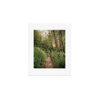 Mellow Path Art Print Gallery Image 1